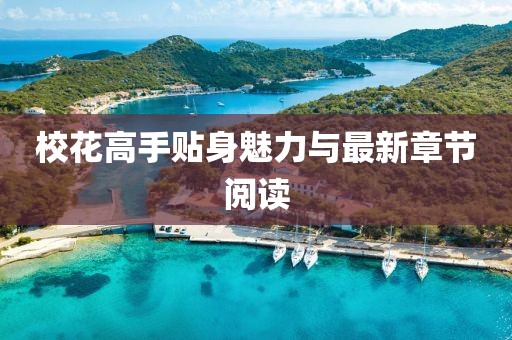校花高手贴身魅力与最新章节阅读