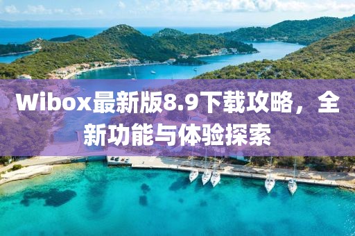 Wibox最新版8.9下载攻略，全新功能与体验探索
