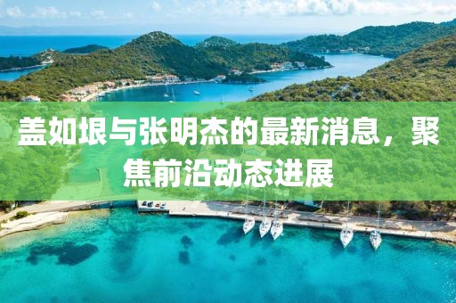 盖如垠与张明杰的最新消息，聚焦前沿动态进展