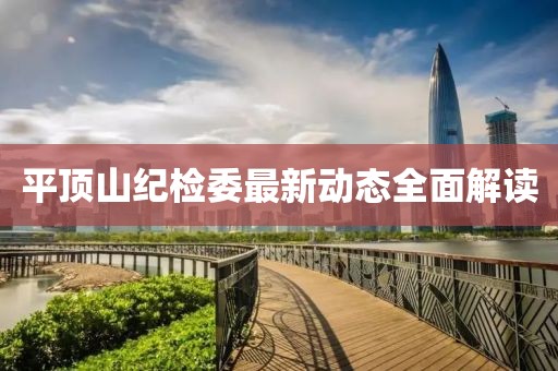 平顶山纪检委最新动态全面解读