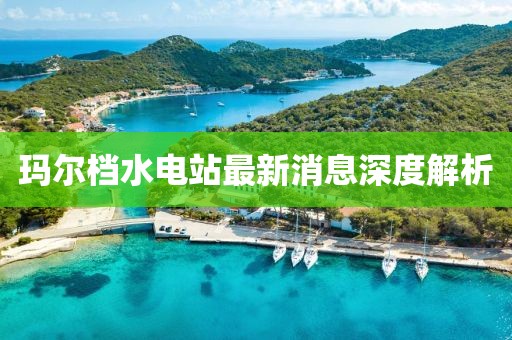 玛尔档水电站最新消息深度解析