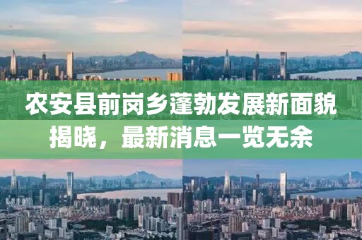农安县前岗乡蓬勃发展新面貌揭晓，最新消息一览无余