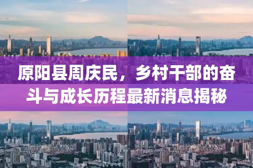 原阳县周庆民，乡村干部的奋斗与成长历程最新消息揭秘