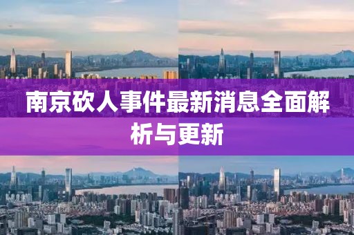 南京砍人事件最新消息全面解析与更新