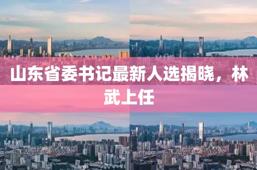 山东省委书记最新人选揭晓，林武上任