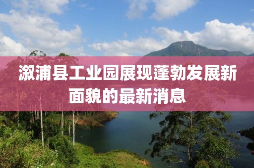 溆浦县工业园展现蓬勃发展新面貌的最新消息