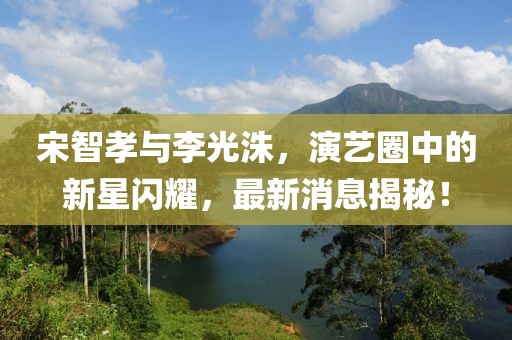 宋智孝与李光洙，演艺圈中的新星闪耀，最新消息揭秘！