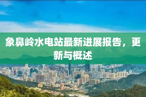 象鼻岭水电站最新进展报告，更新与概述