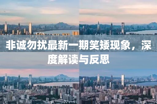 非诚勿扰最新一期笑矮现象，深度解读与反思