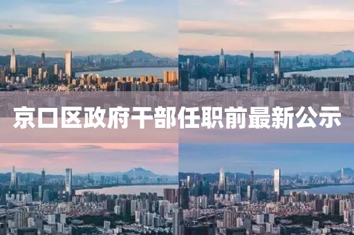 京口区政府干部任职前最新公示