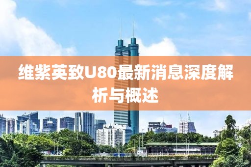 维紫英致U80最新消息深度解析与概述