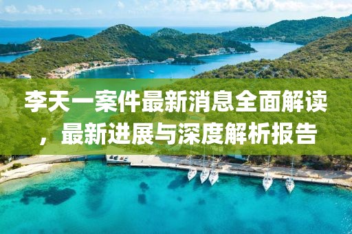 李天一案件最新消息全面解读，最新进展与深度解析报告