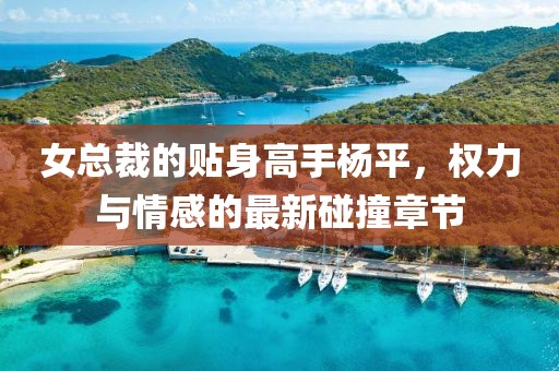 女总裁的贴身高手杨平，权力与情感的最新碰撞章节
