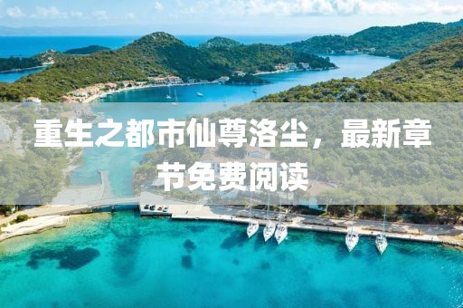 重生之都市仙尊洛尘，最新章节免费阅读