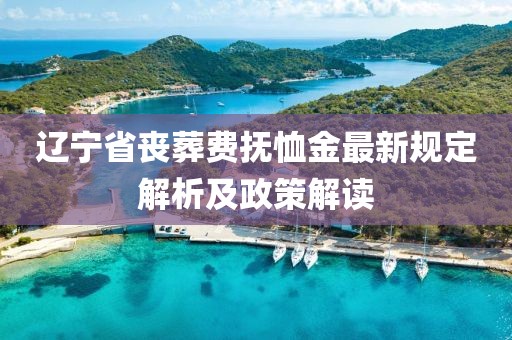辽宁省丧葬费抚恤金最新规定解析及政策解读