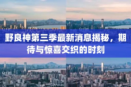 野良神第三季最新消息揭秘，期待与惊喜交织的时刻
