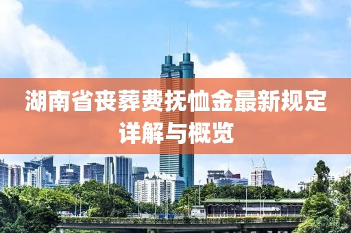 湖南省丧葬费抚恤金最新规定详解与概览