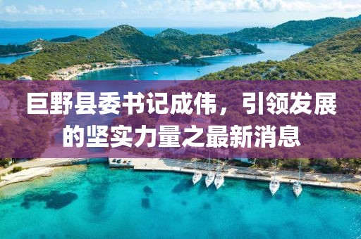 巨野县委书记成伟，引领发展的坚实力量之最新消息