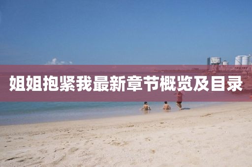 姐姐抱紧我最新章节概览及目录
