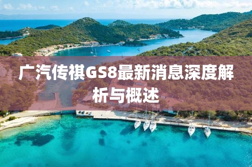 广汽传祺GS8最新消息深度解析与概述
