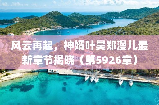 风云再起，神婿叶昊郑漫儿最新章节揭晓（第5926章）