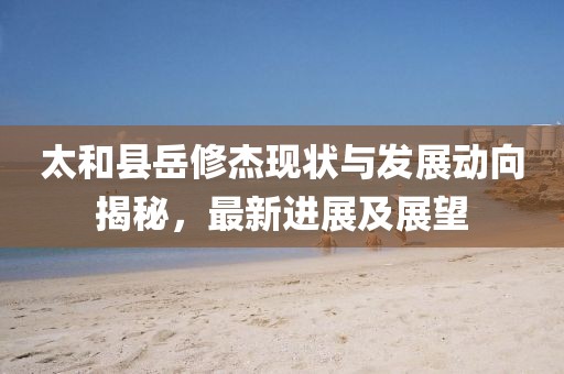 太和县岳修杰现状与发展动向揭秘，最新进展及展望