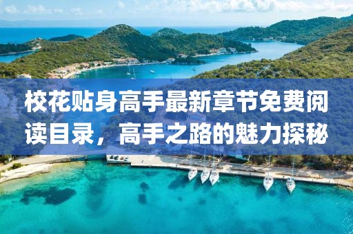 校花贴身高手最新章节免费阅读目录，高手之路的魅力探秘