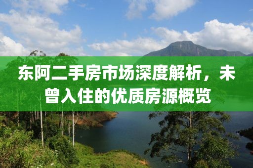 东阿二手房市场深度解析，未曾入住的优质房源概览