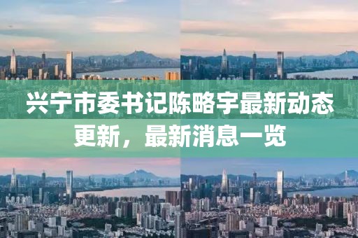 兴宁市委书记陈略宇最新动态更新，最新消息一览