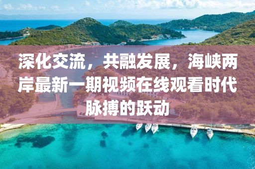 深化交流，共融发展，海峡两岸最新一期视频在线观看时代脉搏的跃动