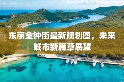 东丽金钟街最新规划图，未来城市新篇章展望
