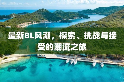 最新BL风潮，探索、挑战与接受的潮流之旅