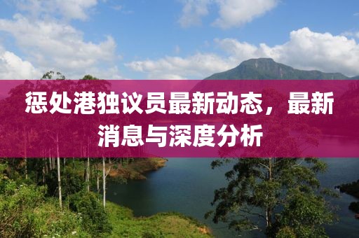 惩处港独议员最新动态，最新消息与深度分析