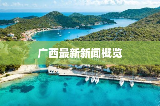 广西最新新闻概览