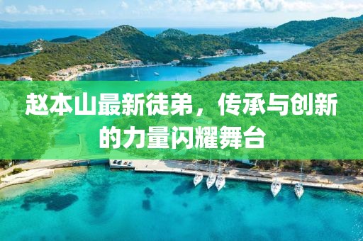 赵本山最新徒弟，传承与创新的力量闪耀舞台