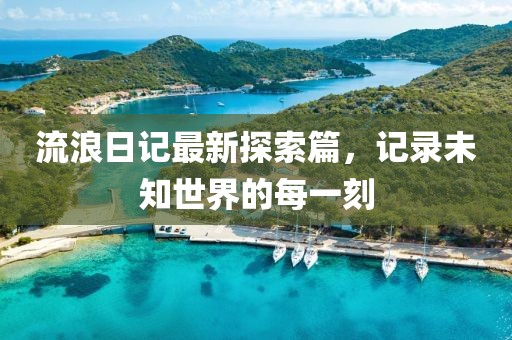 流浪日记最新探索篇，记录未知世界的每一刻