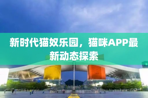 新时代猫奴乐园，猫咪APP最新动态探索