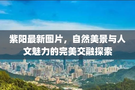 襟上花 第87页