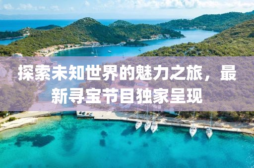 探索未知世界的魅力之旅，最新寻宝节目独家呈现