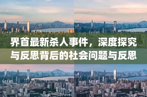 界首最新杀人事件，深度探究与反思背后的社会问题与反思