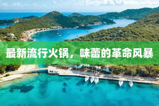 最新流行火锅，味蕾的革命风暴