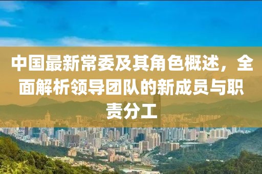 中国最新常委及其角色概述，全面解析领导团队的新成员与职责分工