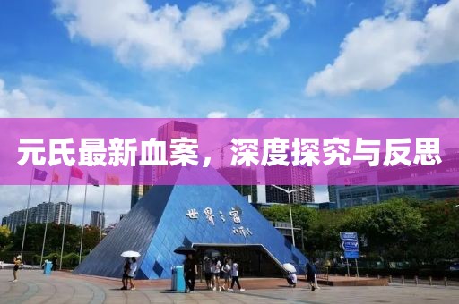 元氏最新血案，深度探究与反思