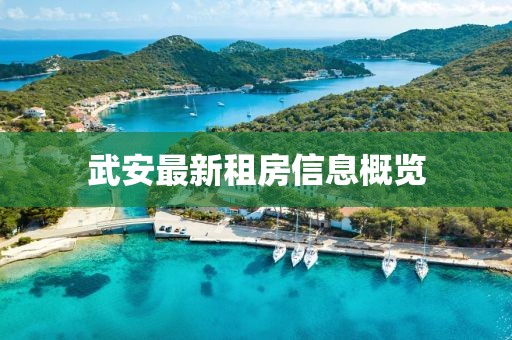 武安最新租房信息概览