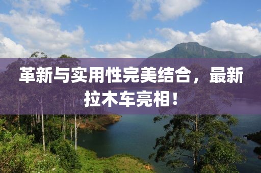 革新与实用性完美结合，最新拉木车亮相！