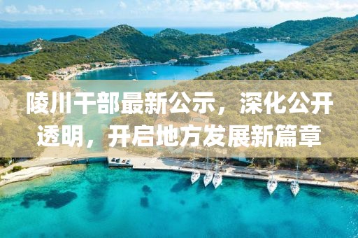 陵川干部最新公示，深化公开透明，开启地方发展新篇章