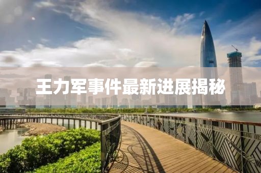 王力军事件最新进展揭秘