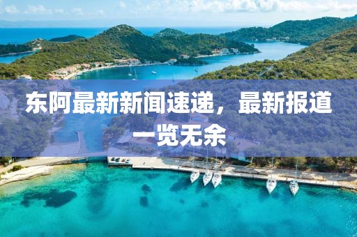 东阿最新新闻速递，最新报道一览无余