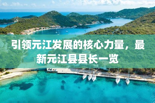 引领元江发展的核心力量，最新元江县县长一览