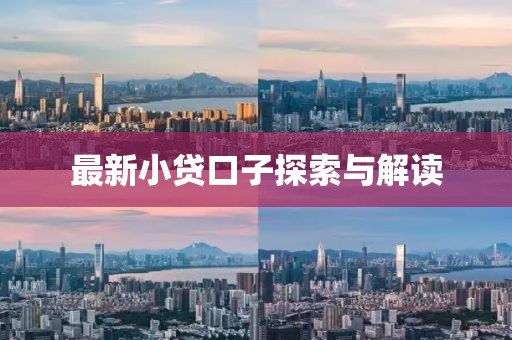 最新小贷口子探索与解读